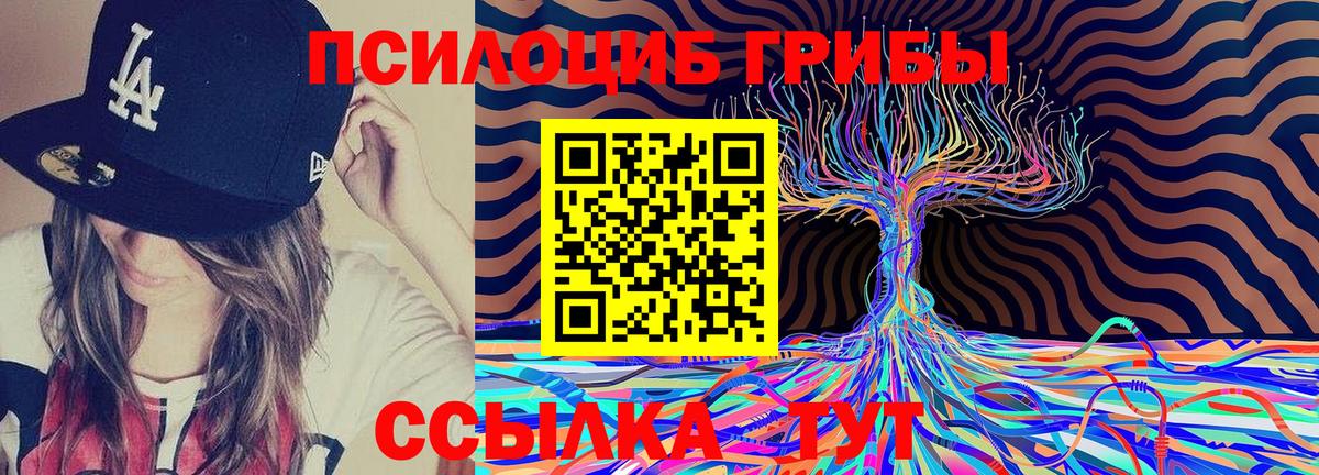Псилоцибиновые грибы Magic Shrooms Кизилюрт