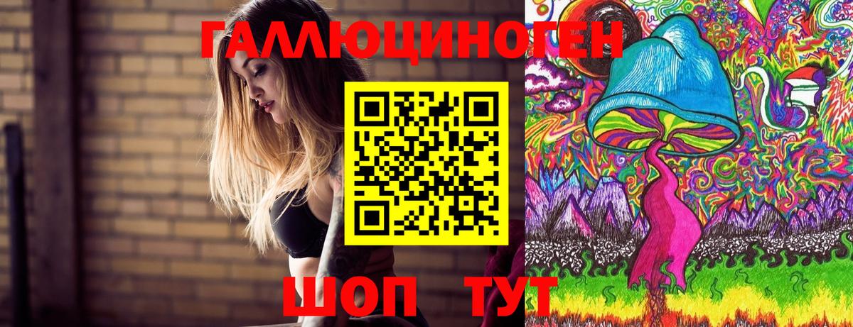 Псилоцибиновые грибы GOLDEN TEACHER  цены наркотик  Кизилюрт  Псилоцибиновые грибы GOLDEN TEACHER  Вход с VPN 